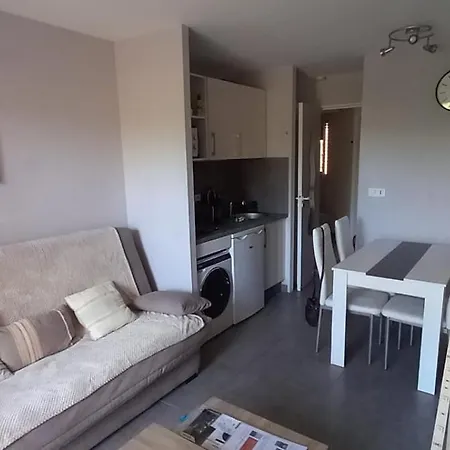 Cosy Blue Classe 2 Etoiles Piscine Parking Clim Terrasse Apartment *