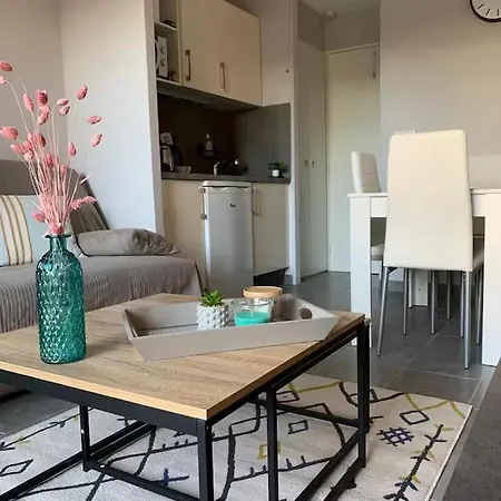 Apartment Cosy Blue Classe 2 Etoiles Piscine Parking Clim Terrasse